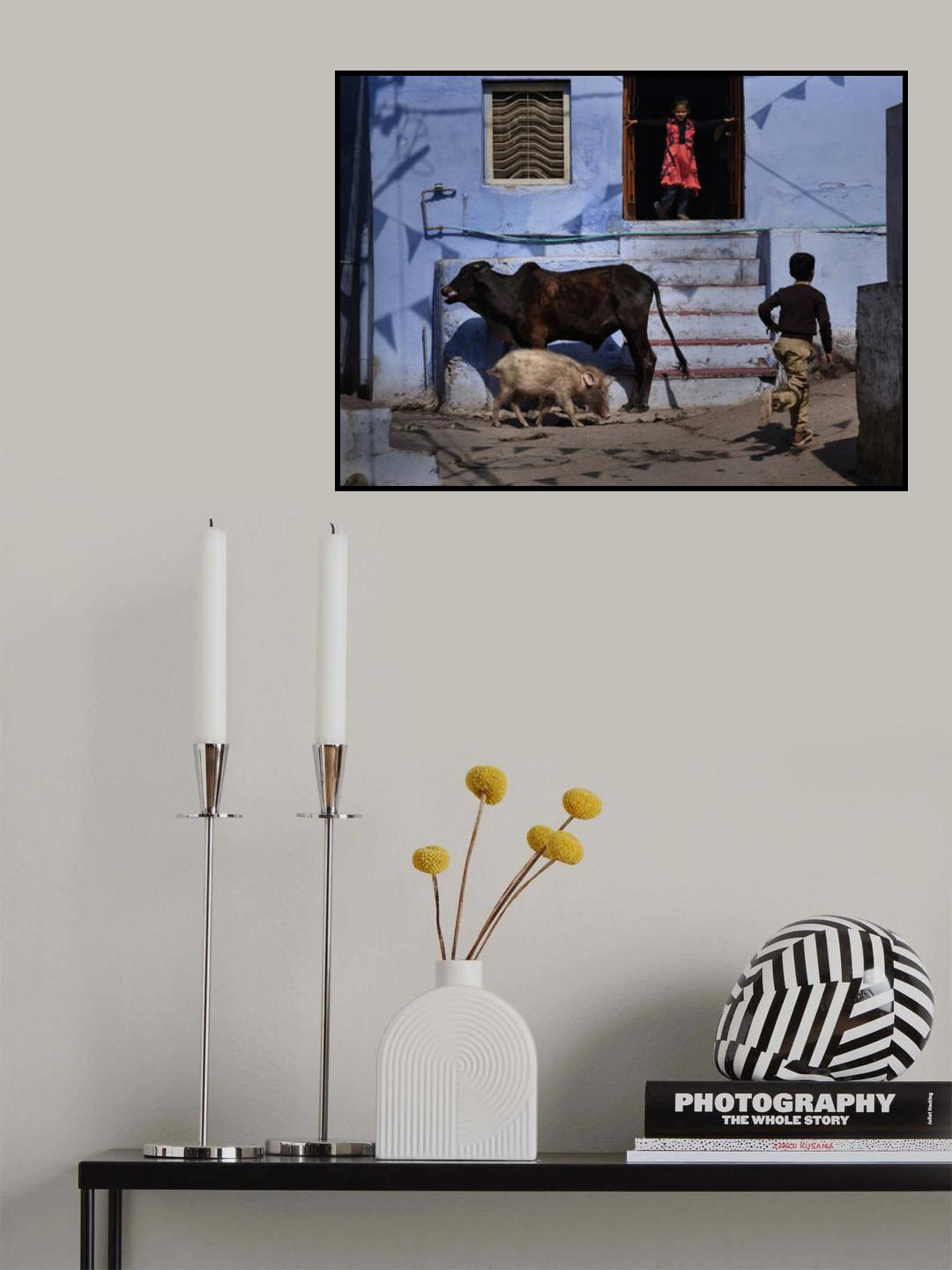 Rush hour in Bundi Poster och Canvastavla