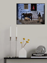 Rush hour in Bundi Poster och Canvastavla