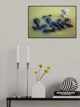 Life Of Buffalo Herder Poster och Canvastavla