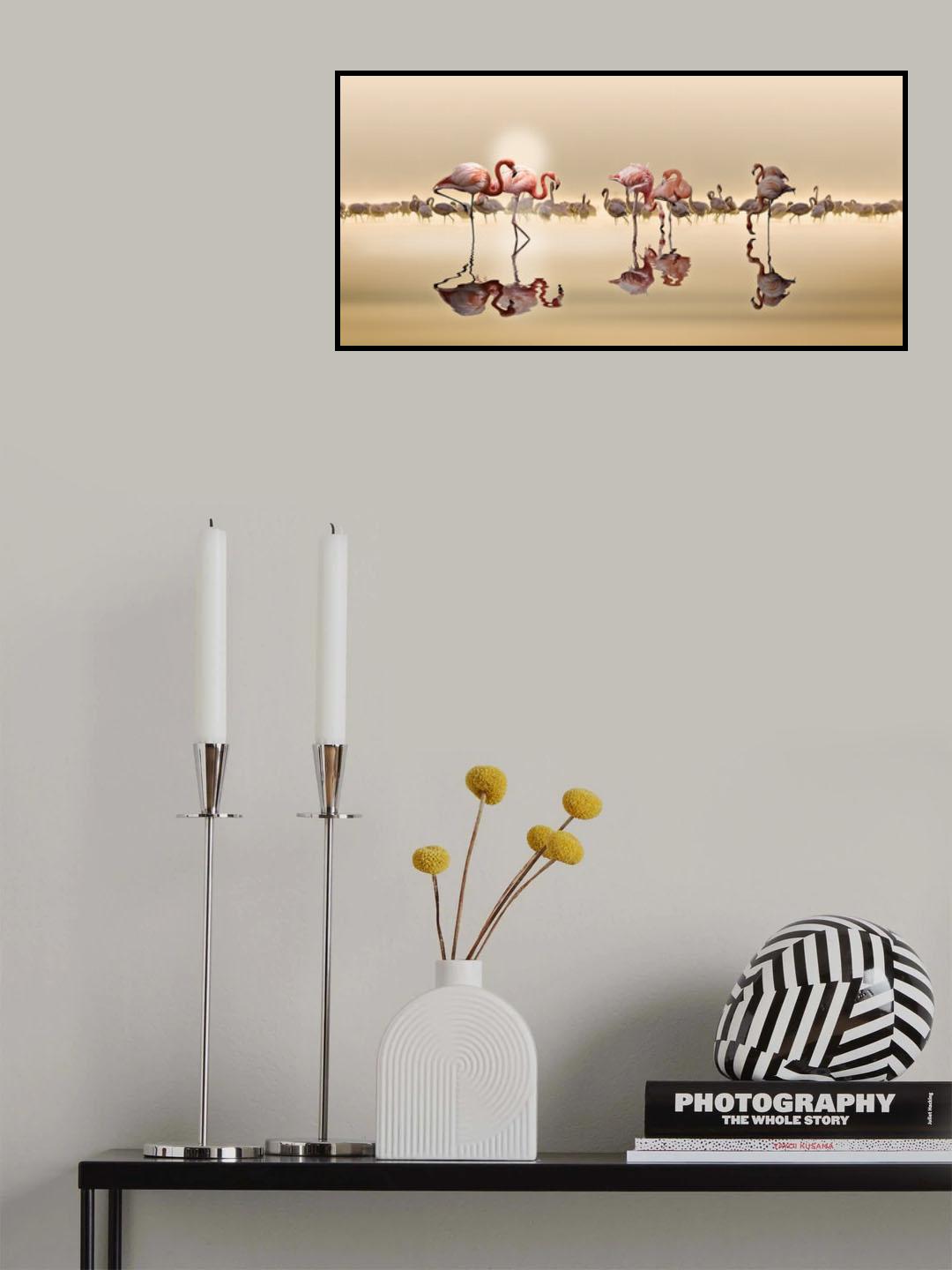 FLAMINGOS Poster och Canvastavla