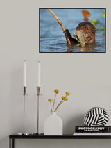 The fisher Poster och Canvastavla