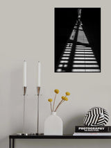 The zebra Poster och Canvastavla