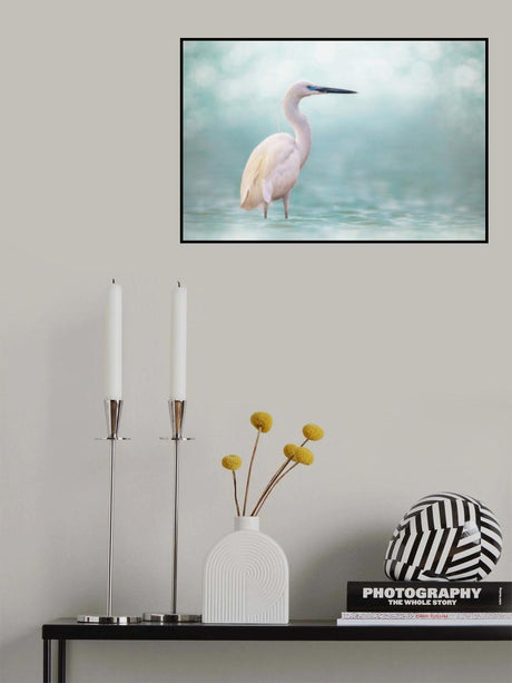 Reef Heron Poster och Canvastavla