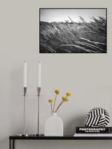 The yellow winds Poster och Canvastavla