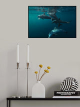 Lagoon life Poster och Canvastavla