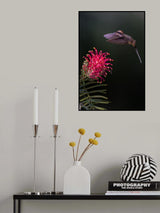 Scale throated hermit Poster och Canvastavla