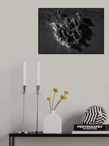 Buffalo Group Poster och Canvastavla