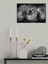 Cow Race Poster och Canvastavla