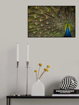 Wild Beauty Poster och Canvastavla