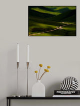 Light of Nature Poster och Canvastavla