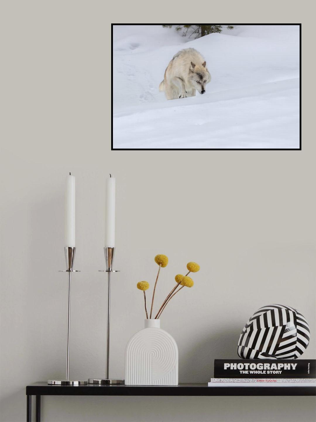 A Little Climbing Poster och Canvastavla