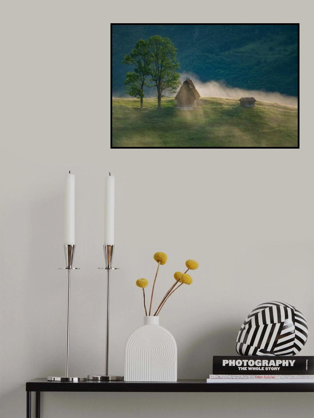 Peace and harmony Poster och Canvastavla
