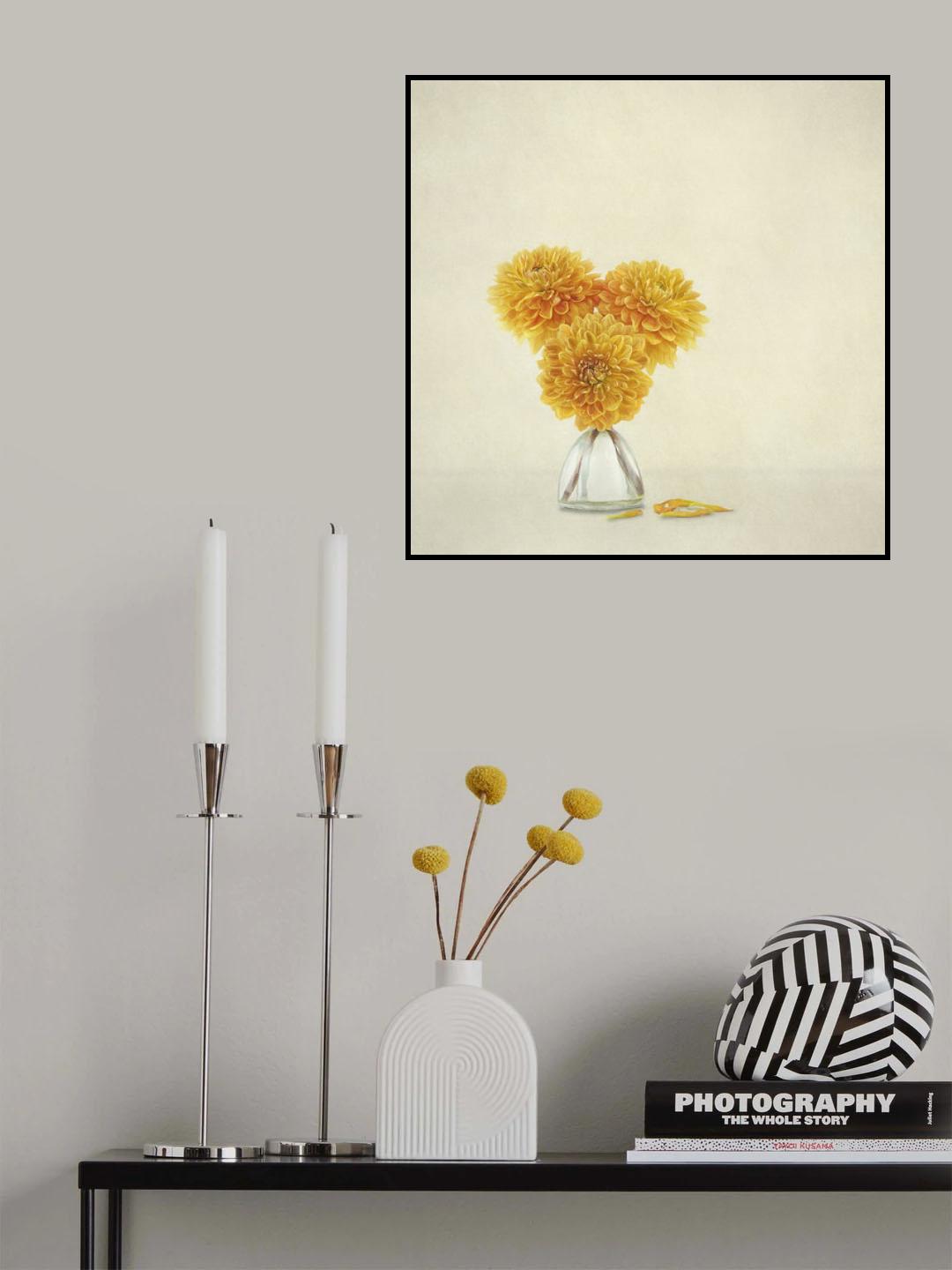 Mirror image Poster och Canvastavla
