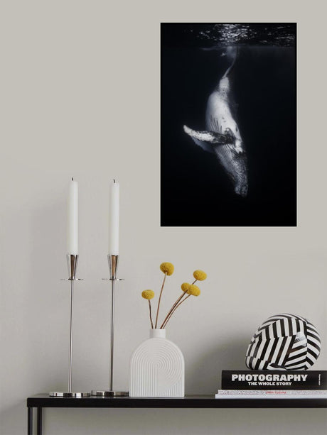 Black Whale Poster och Canvastavla