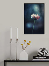 Night Wish Poster och Canvastavla