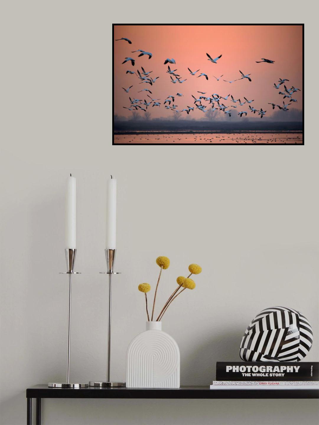Toward the sun Poster och Canvastavla
