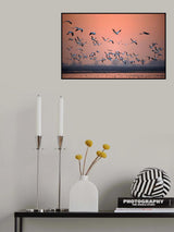 Toward the sun Poster och Canvastavla