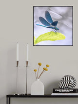 Take off Poster och Canvastavla