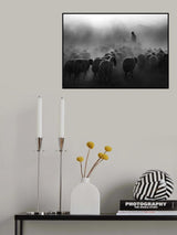 shepherd Poster och Canvastavla