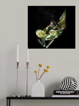 underwater artistic portrait shooting Poster och Canvastavla