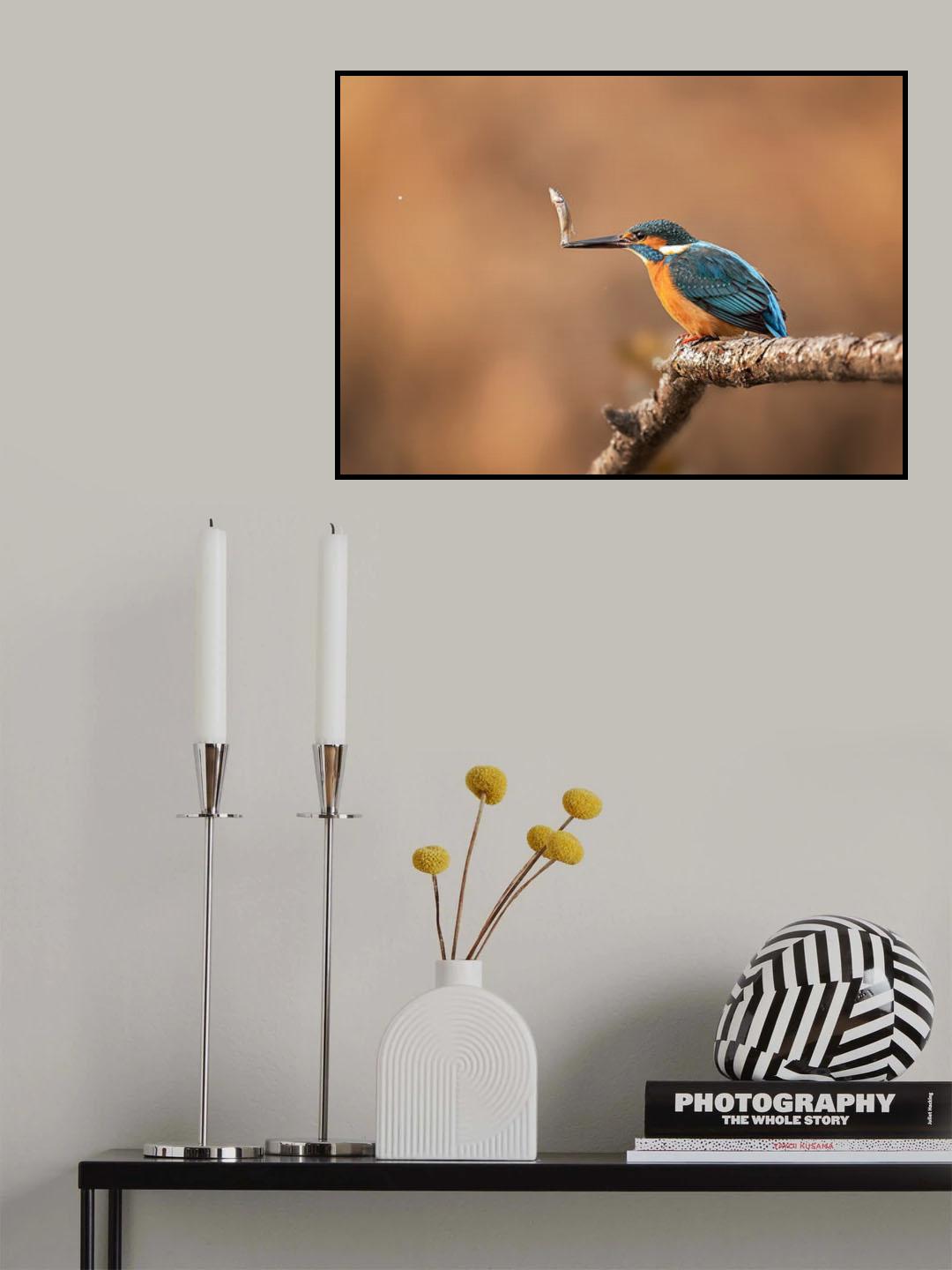 Swinging fish Poster och Canvastavla