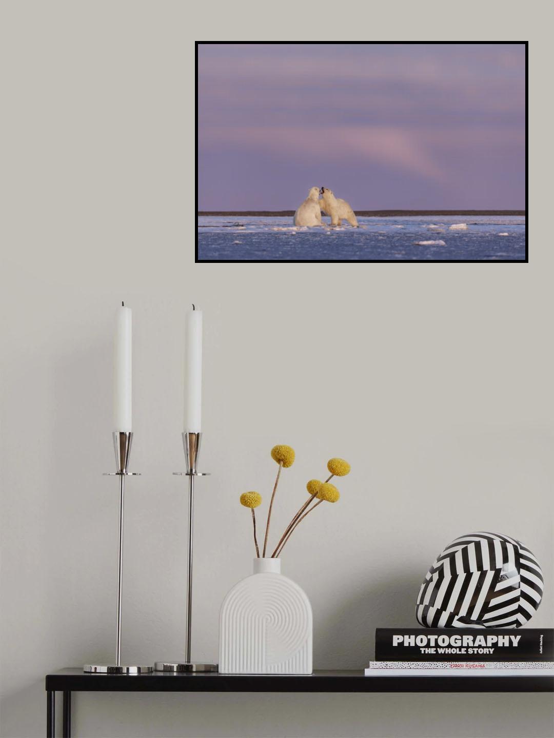 Arctic color Poster och Canvastavla
