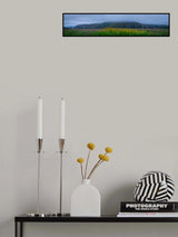 Yellow flower - Pano Poster och Canvastavla