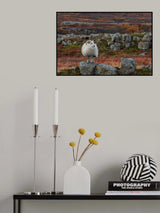 Waiting for the Winter Poster och Canvastavla