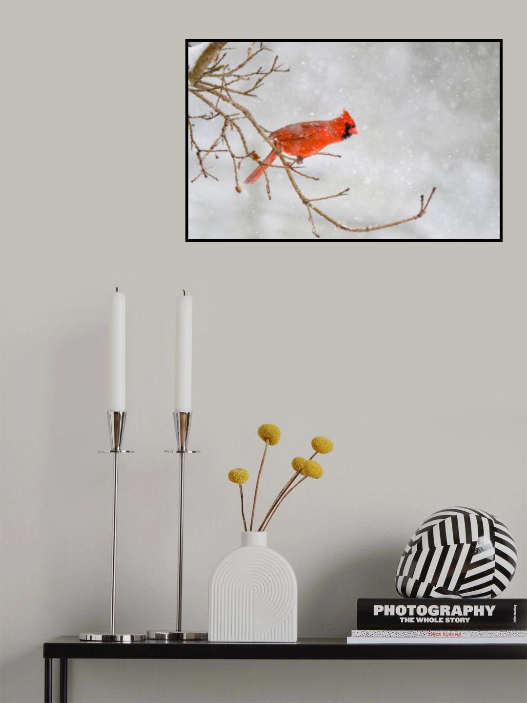Where to find food Poster och Canvastavla