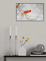 Where to find food Poster och Canvastavla