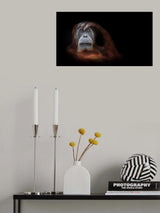 sleeping beauty Poster och Canvastavla