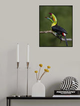 Colorful trick Poster och Canvastavla