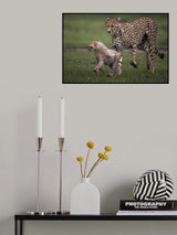 A Mother Protection Poster och Canvastavla