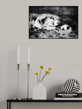 Dead Memory Poster och Canvastavla