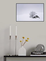 In the snow Poster och Canvastavla