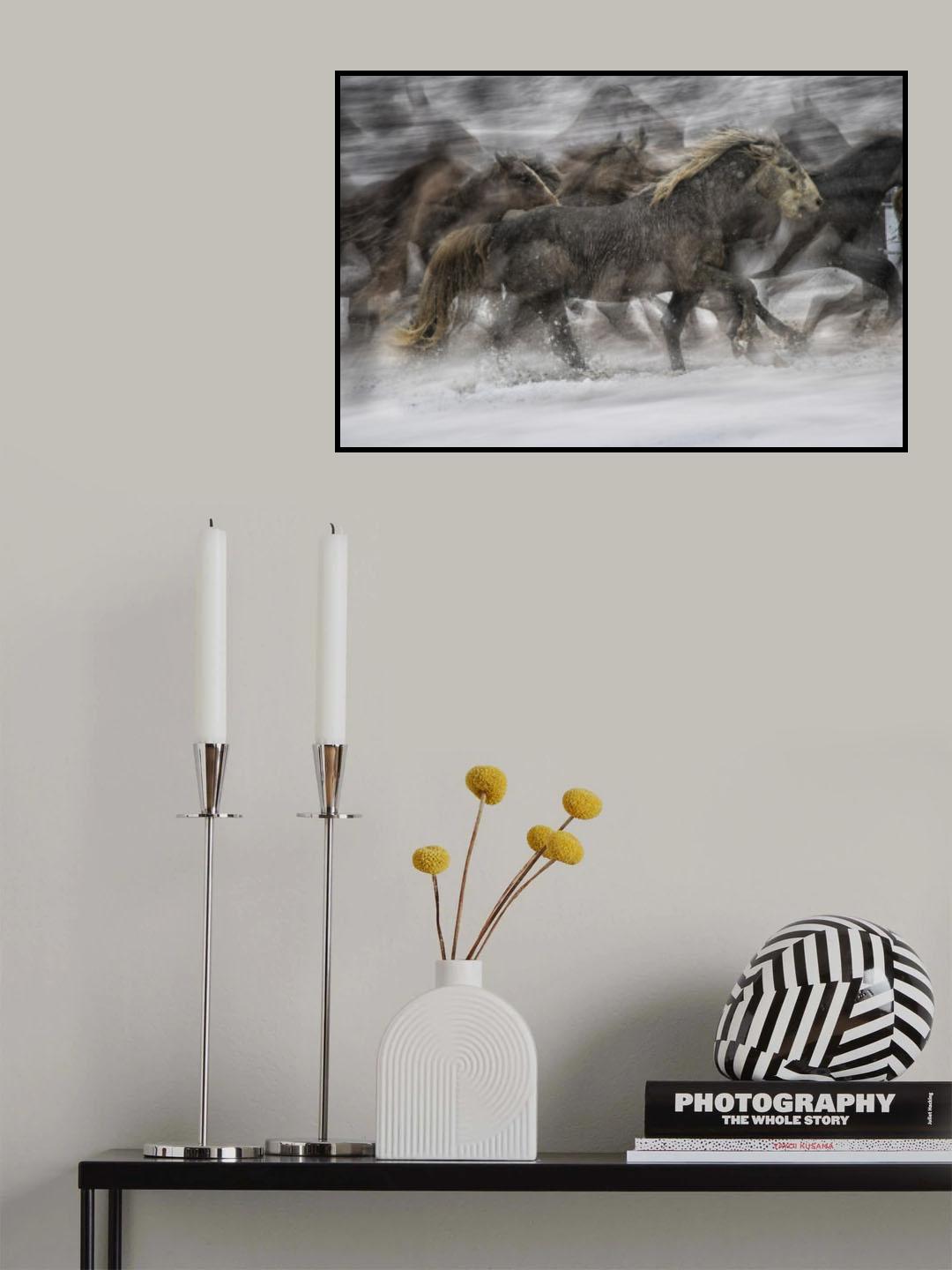 Galloping 2 Poster och Canvastavla