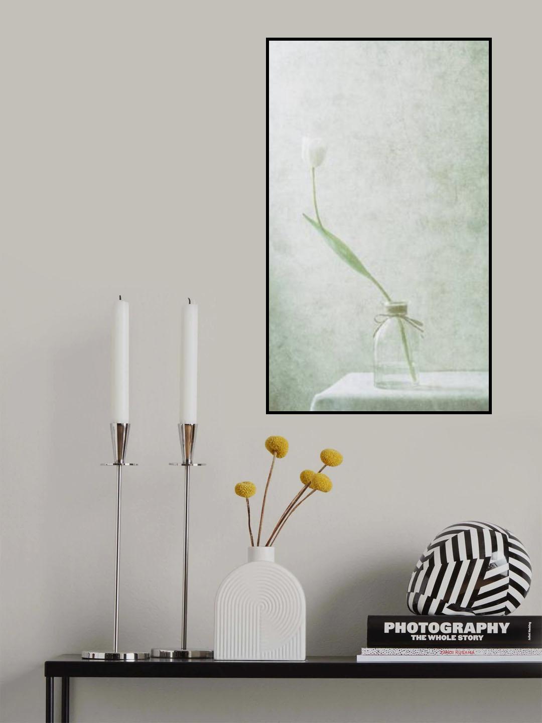 Ephemeral White (2) Poster och Canvastavla