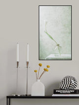 Ephemeral White (2) Poster och Canvastavla