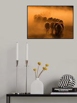 herd Poster och Canvastavla