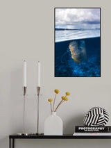 Médusa Poster och Canvastavla