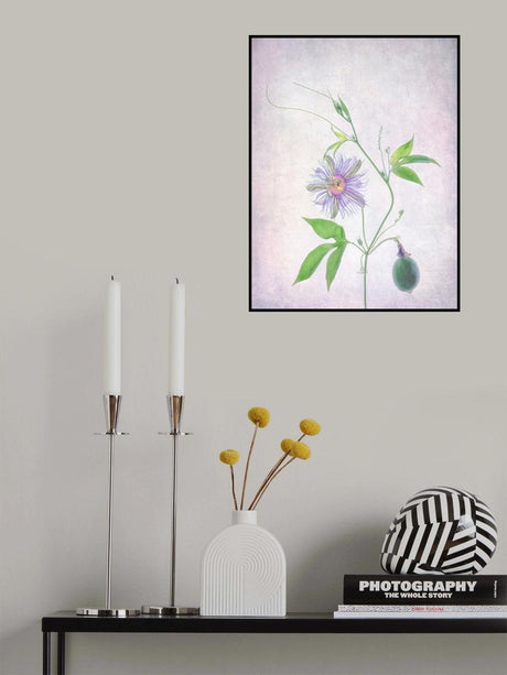 Passion Fruit Poster och Canvastavla
