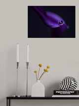 Kala`s pearl ll Poster och Canvastavla
