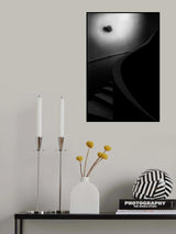 LAMP Poster och Canvastavla