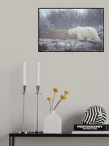 Let it Snow! Poster och Canvastavla