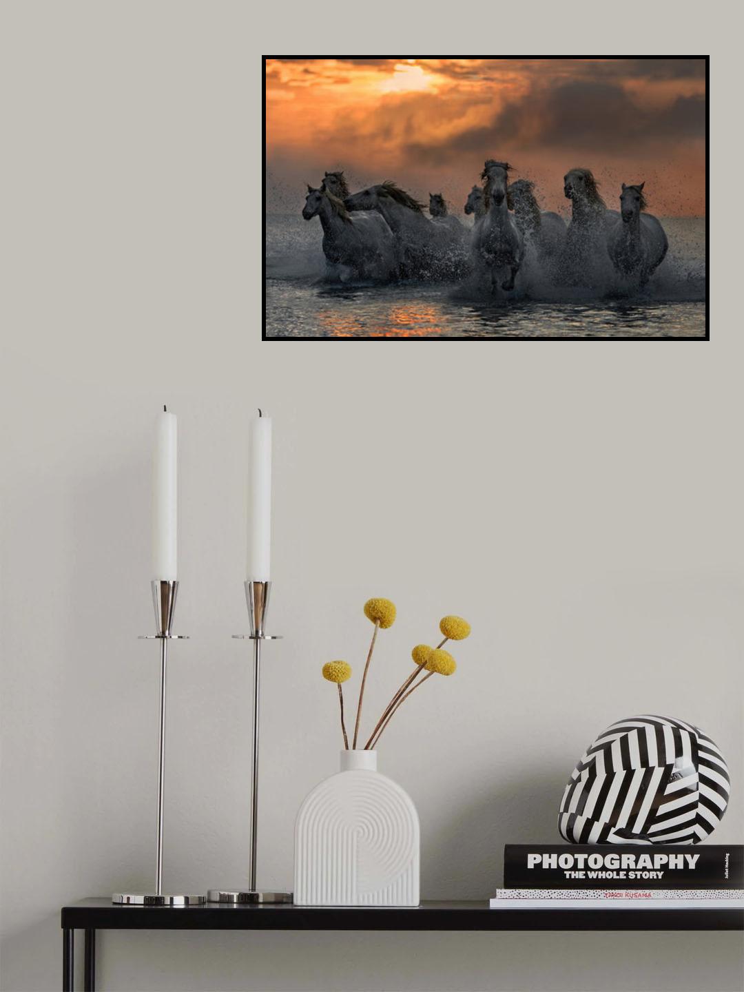 Horses running through the marsh Poster och Canvastavla
