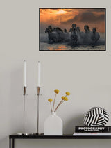 Horses running through the marsh Poster och Canvastavla