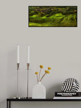waves of rice - the dragon's backbone Poster och Canvastavla