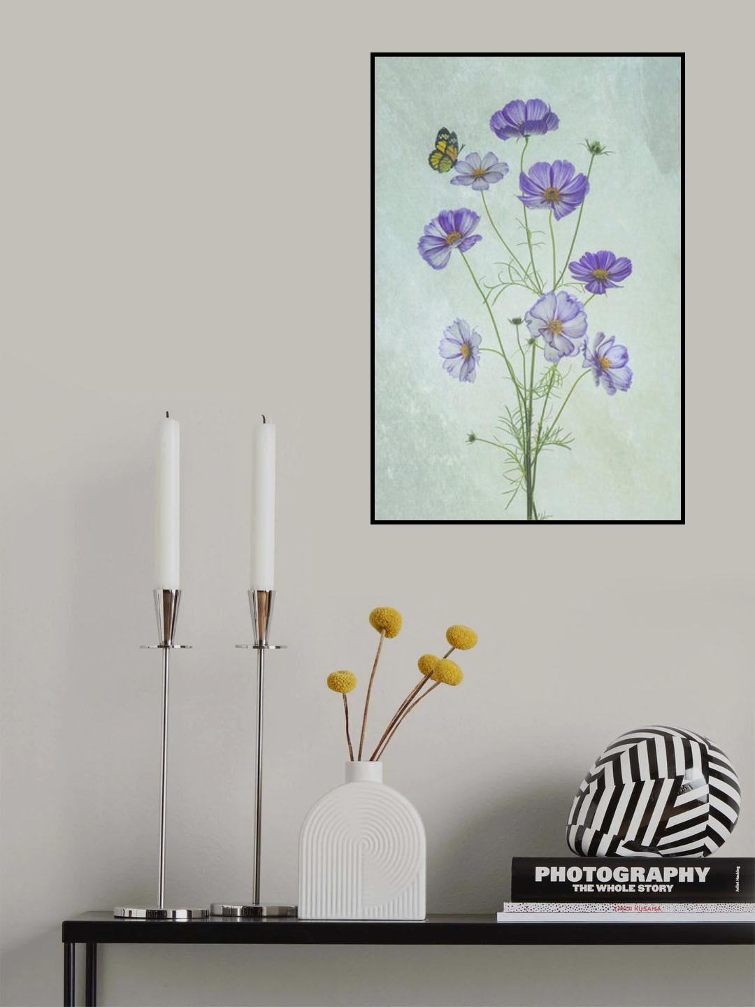 Elegant Cosmos Flowers Poster och Canvastavla
