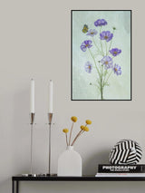 Elegant Cosmos Flowers Poster och Canvastavla