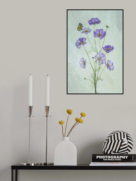 Elegant Cosmos Flowers Poster och Canvastavla
